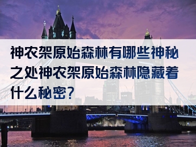 神农架原始森林有哪些神秘之处神农架原始森林隐藏着什么秘密？