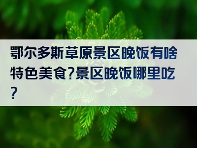 鄂尔多斯草原景区晚饭有啥特色美食？景区晚饭哪里吃？