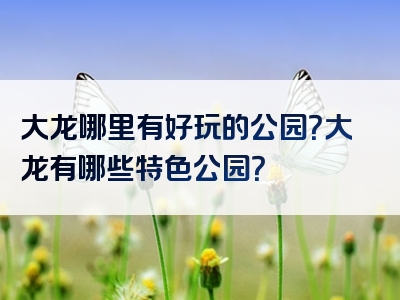 大龙哪里有好玩的公园？大龙有哪些特色公园？