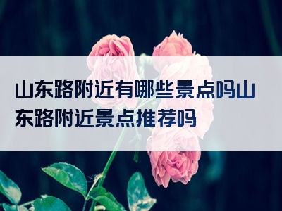 山东路附近有哪些景点吗山东路附近景点推荐吗