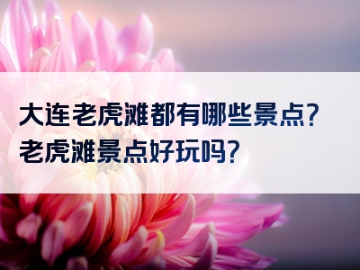 大连老虎滩都有哪些景点？老虎滩景点好玩吗？