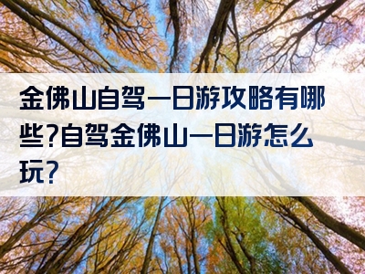 金佛山自驾一日游攻略有哪些？自驾金佛山一日游怎么玩？