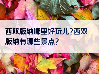 西双版纳哪里好玩儿？西双版纳有哪些景点？