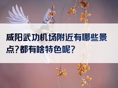 咸阳武功机场附近有哪些景点？都有啥特色呢？