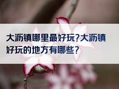 大沥镇哪里最好玩？大沥镇好玩的地方有哪些？