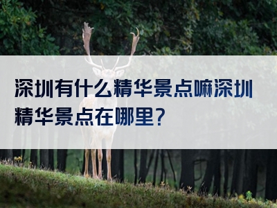 深圳有什么精华景点嘛深圳精华景点在哪里？