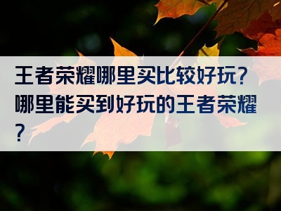 王者荣耀哪里买比较好玩？哪里能买到好玩的王者荣耀？