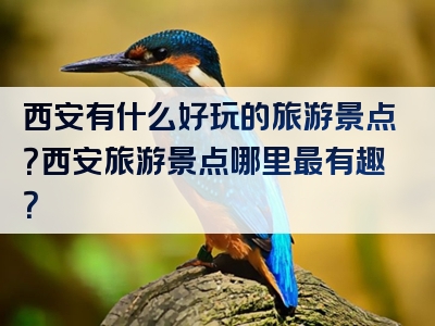 西安有什么好玩的旅游景点？西安旅游景点哪里最有趣？