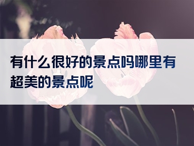 有什么很好的景点吗哪里有超美的景点呢