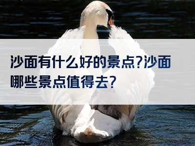 沙面有什么好的景点？沙面哪些景点值得去？