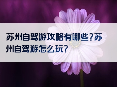 苏州自驾游攻略有哪些？苏州自驾游怎么玩？