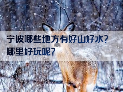 宁波哪些地方有好山好水？哪里好玩呢？