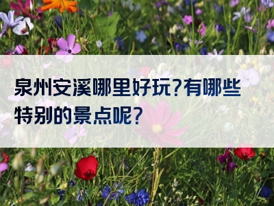 泉州安溪哪里好玩？有哪些特别的景点呢？