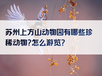 苏州上方山动物园有哪些珍稀动物？怎么游览？