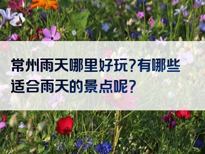 常州雨天哪里好玩？有哪些适合雨天的景点呢？