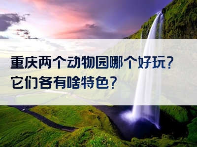 重庆两个动物园哪个好玩？它们各有啥特色？