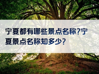 宁夏都有哪些景点名称？宁夏景点名称知多少？