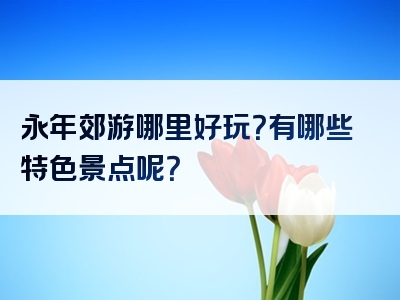 永年郊游哪里好玩？有哪些特色景点呢？