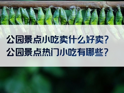 公园景点小吃卖什么好卖？公园景点热门小吃有哪些？