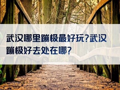 武汉哪里蹦极最好玩？武汉蹦极好去处在哪？