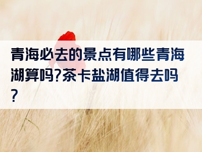 青海必去的景点有哪些青海湖算吗？茶卡盐湖值得去吗？