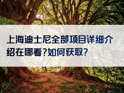 上海迪士尼全部项目详细介绍在哪看？如何获取？