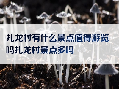 扎龙村有什么景点值得游览吗扎龙村景点多吗