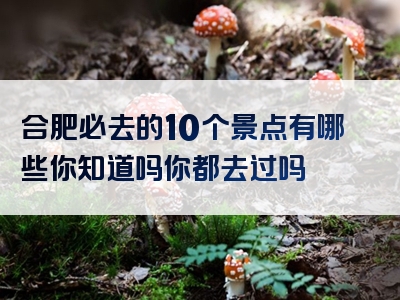 合肥必去的10个景点有哪些你知道吗你都去过吗