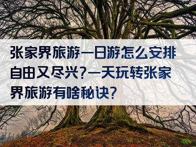 张家界旅游一日游怎么安排自由又尽兴？一天玩转张家界旅游有啥秘诀？