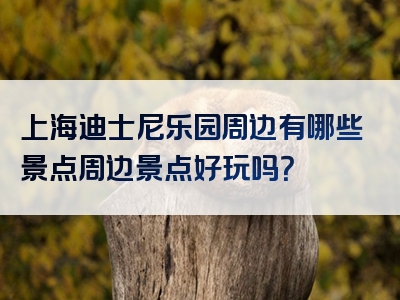 上海迪士尼乐园周边有哪些景点周边景点好玩吗？
