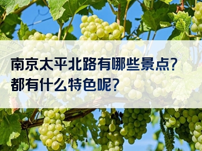 南京太平北路有哪些景点？都有什么特色呢？