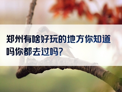 郑州有啥好玩的地方你知道吗你都去过吗？