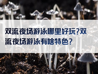 双流夜场游泳哪里好玩？双流夜场游泳有啥特色？