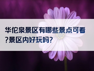 华佗泉景区有哪些景点可看？景区内好玩吗？