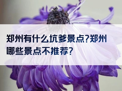 郑州有什么坑爹景点？郑州哪些景点不推荐？