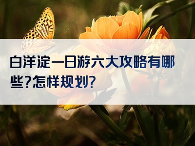 白洋淀一日游六大攻略有哪些？怎样规划？