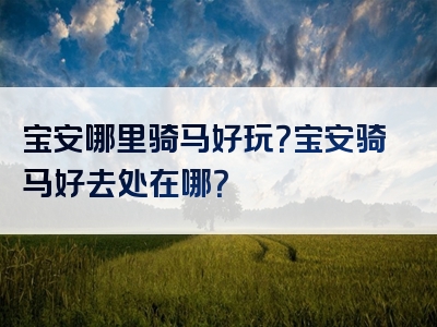 宝安哪里骑马好玩？宝安骑马好去处在哪？