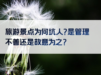 旅游景点为何坑人？是管理不善还是故意为之？
