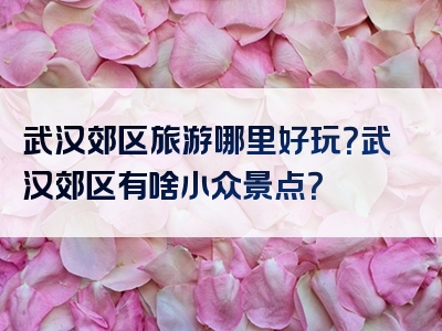 武汉郊区旅游哪里好玩？武汉郊区有啥小众景点？