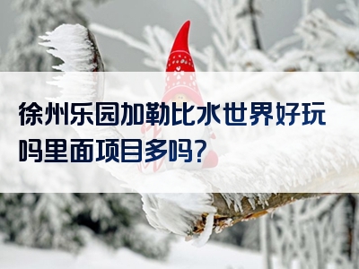 徐州乐园加勒比水世界好玩吗里面项目多吗？