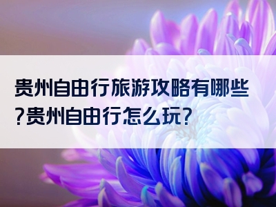 贵州自由行旅游攻略有哪些？贵州自由行怎么玩？