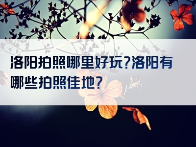 洛阳拍照哪里好玩？洛阳有哪些拍照佳地？