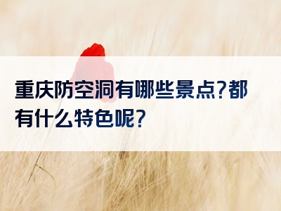 重庆防空洞有哪些景点？都有什么特色呢？