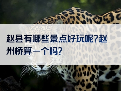 赵县有哪些景点好玩呢？赵州桥算一个吗？