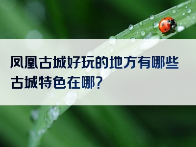 凤凰古城好玩的地方有哪些古城特色在哪？