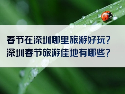 春节在深圳哪里旅游好玩？深圳春节旅游佳地有哪些？