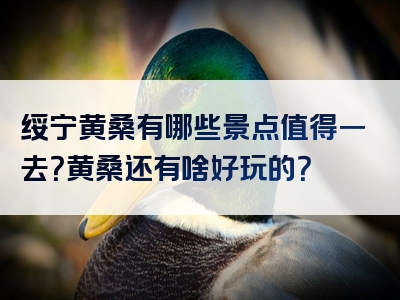 绥宁黄桑有哪些景点值得一去？黄桑还有啥好玩的？