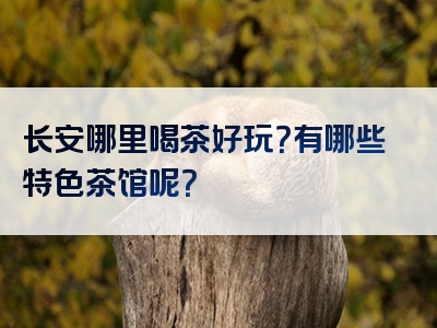 长安哪里喝茶好玩？有哪些特色茶馆呢？