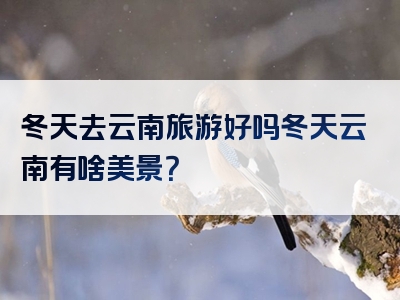 冬天去云南旅游好吗冬天云南有啥美景？