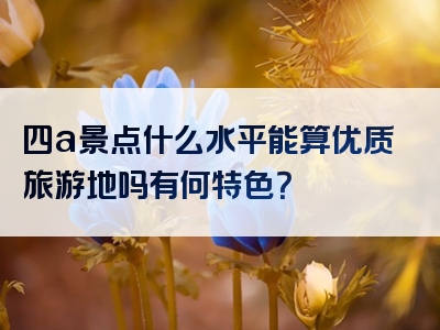 四a景点什么水平能算优质旅游地吗有何特色？